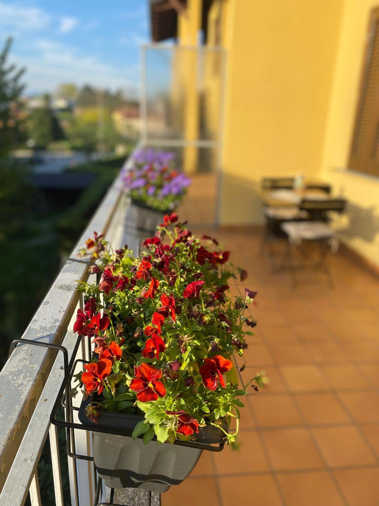 Appartamento Anna Lungo Fiume - Lago Maggiore Sesto Calende Εξωτερικό φωτογραφία